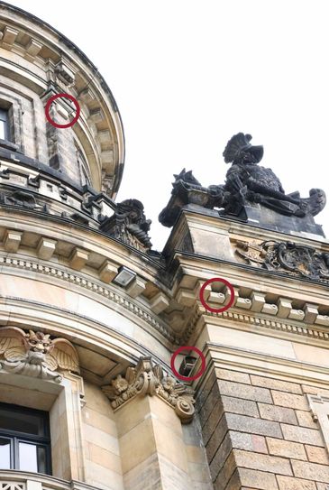 Vogelnistparadies Polizeigebäude Schießgasse Fotos: Polizei Dresden