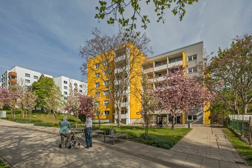 Höhenpromenade Gorbitz, fotografiert im Mai und Juni 2021 / Fotos (6): Jens Kirschschäger
