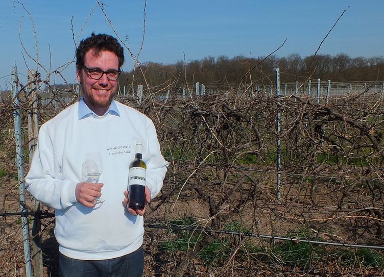 Alexander Link (28) vom Weingut Wolf bevorzugt Wildwuchs, d.h. er schneidet seine Rebstöcke grundsätzlich nicht.