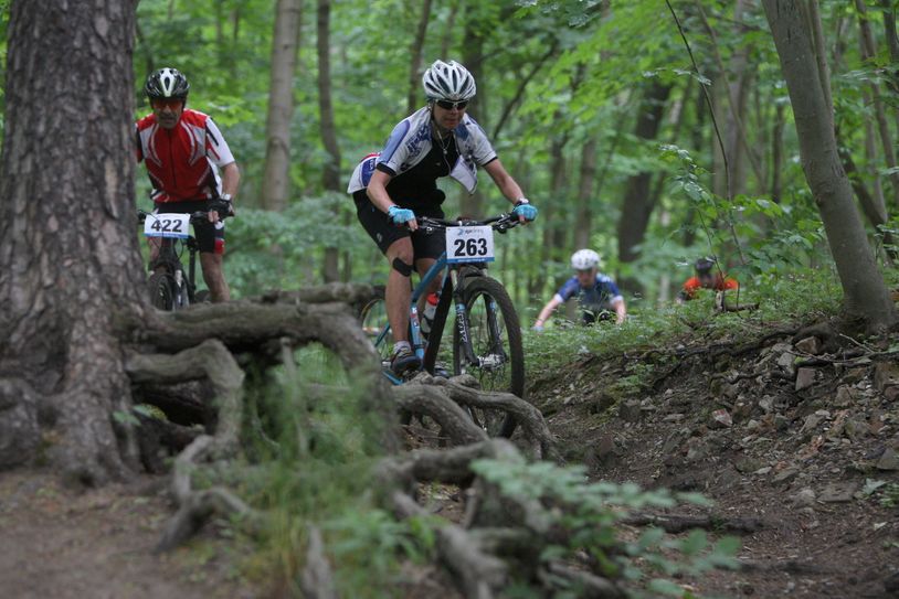 Über Stock und Stein mit dem Mountainbike durch die Dresdner Heide. Foto: Daniel Förster