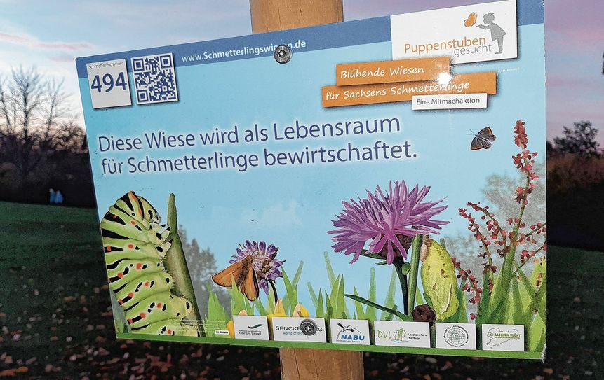 Saatgut für eine bunte Wiese im kommenden Frühjahr in Weida. Foto: Farrar