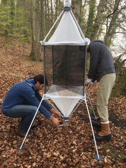 BTU-Forscher Prof. Dr. Dominik Martin-Creuzburg und Dr. Tarn Preet Parnar beim Aufstellen einer Insektenfalle.