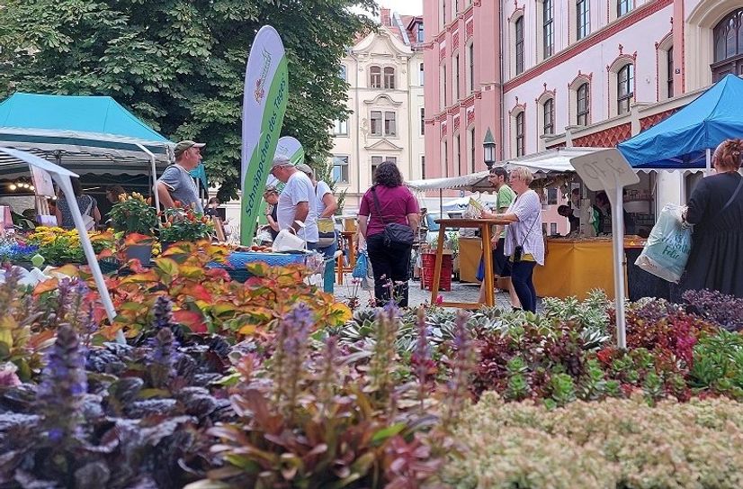 Grünmarkt im Hof der Roten Schule.