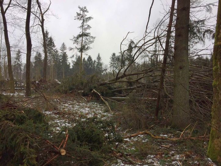 Foto: Stadtverwaltung Bischofswerda