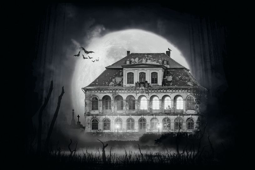 Auf Schloss Übigau geistert bald »Die Addams Family« rum. Foto: PR/Robert Jentzsch