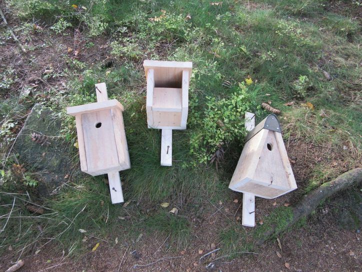 Um einheimischen Singvögeln Nistmöglichkeiten zu verschaffen, wurden unterschiedliche, artgerechte Nistkästen gebaut und im Fichtenbergwald-Quartier aufgehängt. Interessierte Besucher können sich die Bauanleitungen mitnehmen. Foto: PR