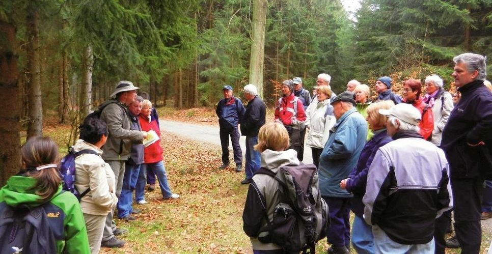 Wer mehr weiß, sieht auch mehr: der erfahrene Nationalparkführer Ralf Schmädicke versteht es, die Besucher zu fesseln und die Faszination der Nationalparknatur rings um die tiefen Gründe  bei Stadt Wehlen zu vermitteln. Foto: Archiv Ralf Schmädicke