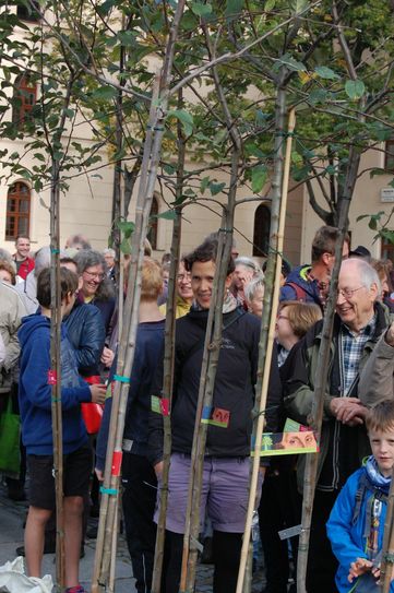 Pfarrerin Annegret Fischer aus der Friedenskirchgemeinde holte die drei Bäumchen in Wittenberg ab. Foto: Lindackers