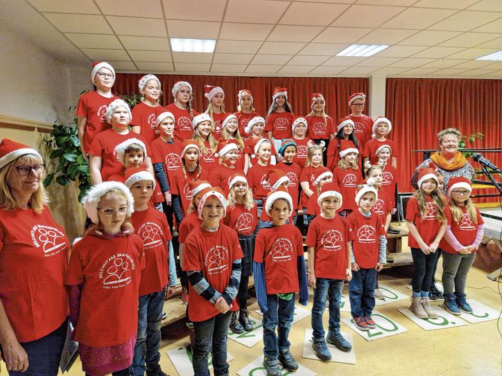 Die Grundschulspatzen haben sich wieder einmal selbst übertroffen, so schön war ihr Konzert.  Foto: S. Nittmann