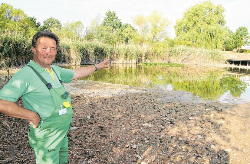 Andreas Kühne is als Klinikgärtner Herr über das Gelände des Klinikparks.
