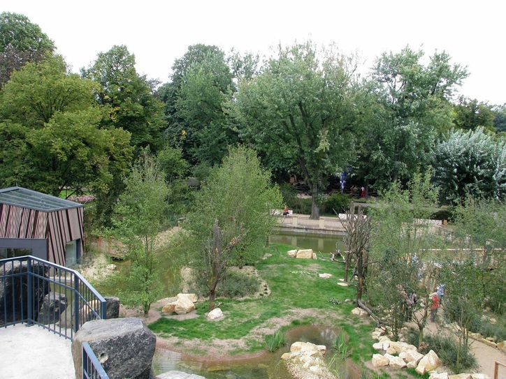 Die Katta-Insel im Zoo Dresden