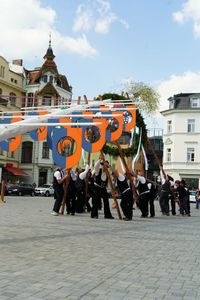 Der Ständebaum wurde in der Sängerstadt erfolgreich aufgestellt.