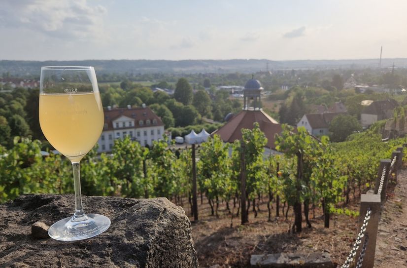 Auf Schloss Wackerbarth wartet frischer Federweißer und stimmungsvolle Musik.