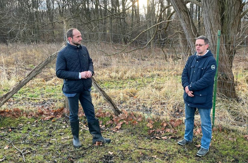 Landrat Stephan Meyer (links) schaute sich das Damwildgehege von Ralf Nahrstedt (rechts) am 13. Januar an. Hier stehen beide an einer der Stellen, an der der Wolf über den Zaun in das Gehege kletterte.