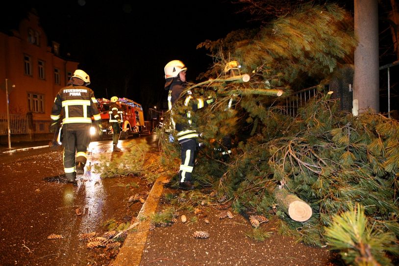 Die Feuerwehr beräumt eine Stelle an der Lohmener Straße in Copitz. Fotos: Daniel Förster
