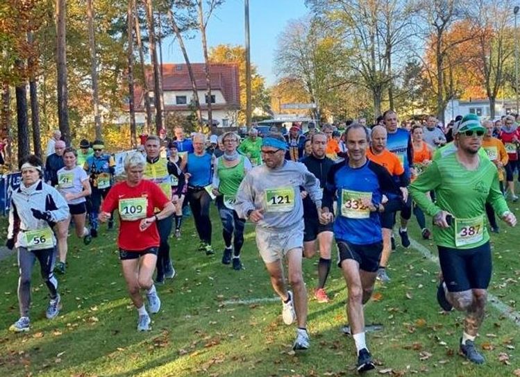 Der Branitzer Parklauf startet am 29. Oktober in seine 63. Runde. Start ist 10 Uhr.