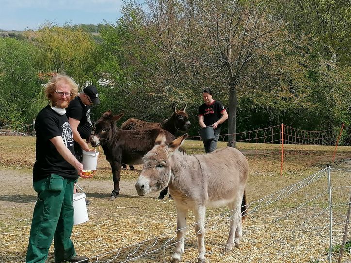 Am 3. Mai findet im Elbe-Tier-Park Hebelei ein Bauernmarkt statt. Foto:pm