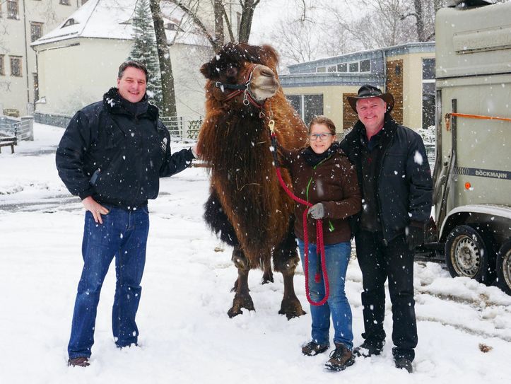 v.l.n.r: Eugène Bruins, Zoologischer Leiter Zoo Hoyerswerda, Trampeltier-Hengst Rashid, Catrin Hammer und Dr. Sven Hammer, Direktor Naturschutz-Tierpark Görlitz Foto: pm