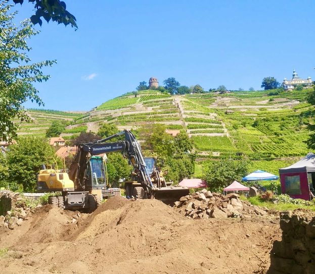 In diesen Tagen beginnt im Weingut Aust der Neubau einer Kellerei.