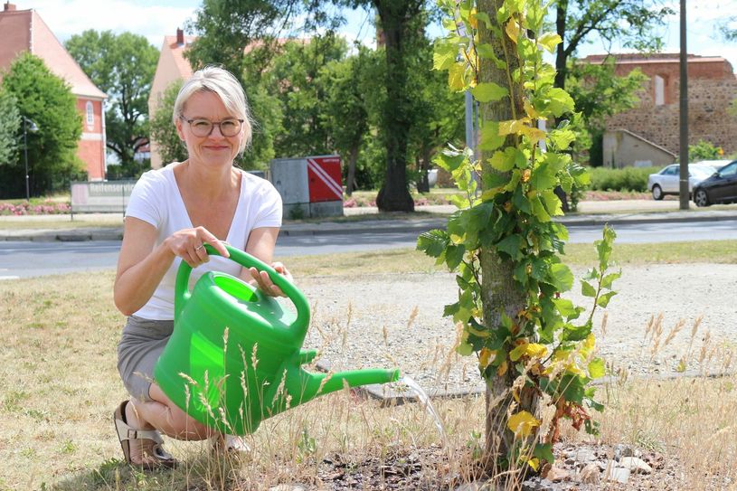 Claudia Braun hatte die Idee zur Calauer Gießpatenschaft und kümmert sich bereits um einen jungen Baum in ihrer Nachbarschaft. Nachahmer sind stets willkommen, geht es doch darum, das städtische Grün zu erhalten. Foto: Stadt Calau / Jan Hornhauer