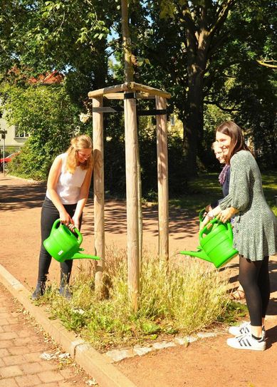 Die erste große Gießaktion fand am 22. Juli statt. Foto: Clara Hanitzsch