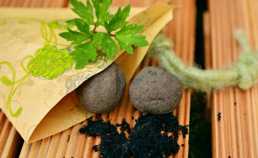 Samenbomben sind mit Saatgut gefüllte, kleine Erdkugeln. Foto: Pixabay/congerdesign