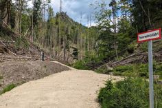 Hohe Brandlast auf einem Einsatzweg an einer Löschwasserzisterne am Großen Zschand, Zustand vom Juni 2024.