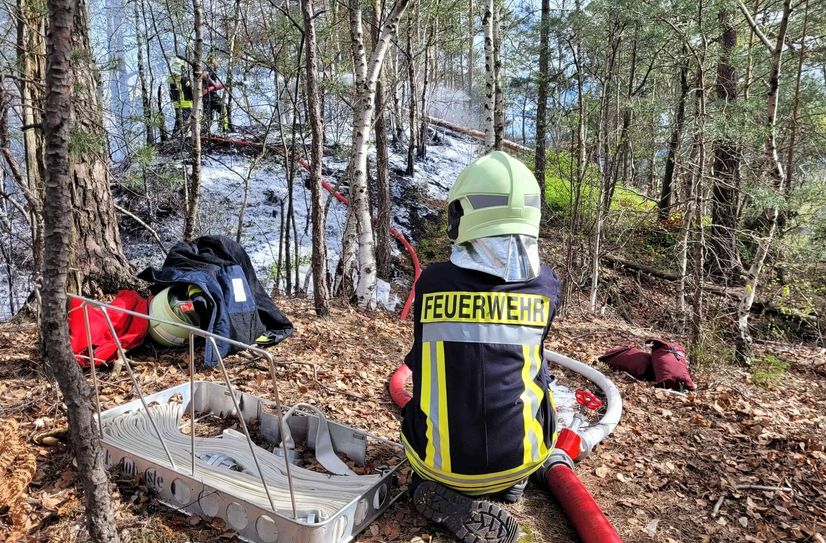 Kameraden der Hohnsteiner Feuerwehr bekämpften die großflächig in Brand geratene Kuppe des Felsriffs in der Kernzone bei Waitzdorf.