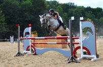 Jasmin Füssel vom RFV Elsterland Biehlen e.V. auf Chiquette - 3. Platz Springprüfung Klasse L.