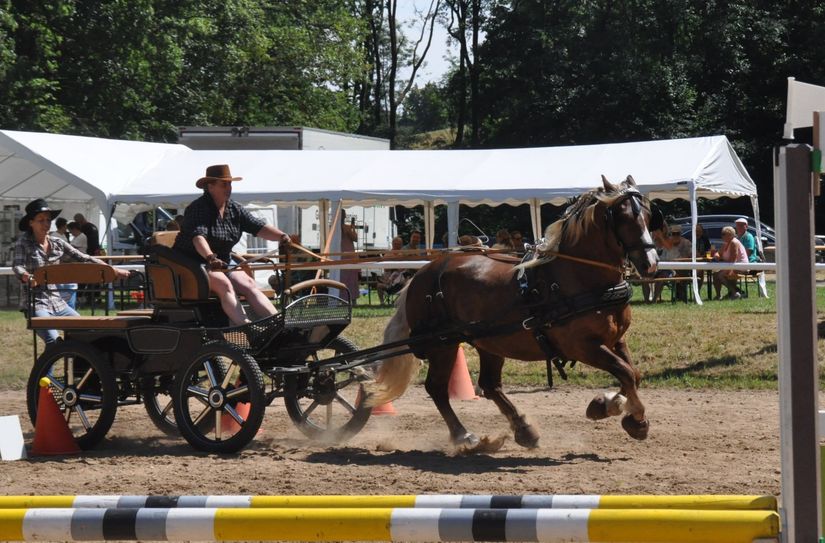Die Gewinnerin des »Taubenheimer Wagenrennens«, Stefanie Költzsch vom RFV Moritzburg e.V. mit Wirbelwind.Foto: Müller