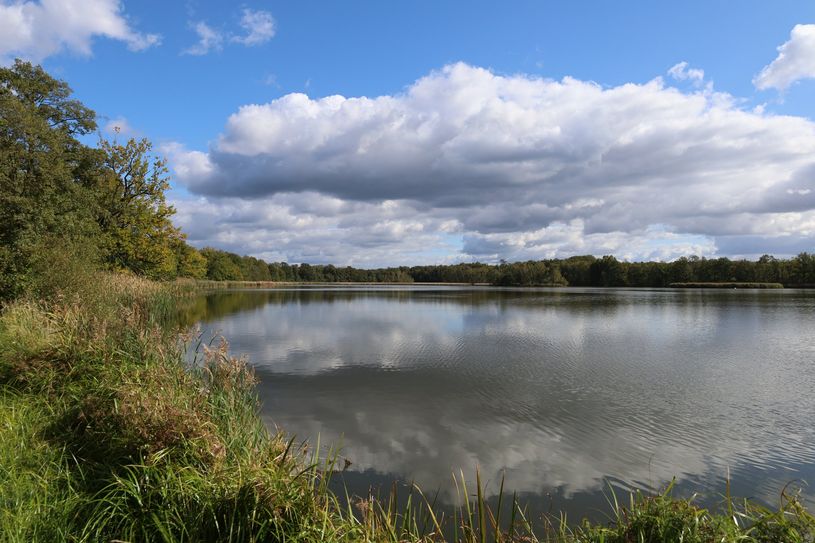 Für die Leader-Region Oberlausitzer Heide- und Teichlandschaft stehen etwa 1,7 Millionen Euro Fördermittel zur Verfügung.