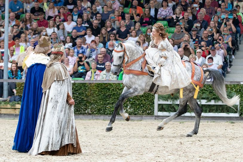 Schaubild mit Aschenbrödel bei der Hengstparade 2021 in Moritzburg.