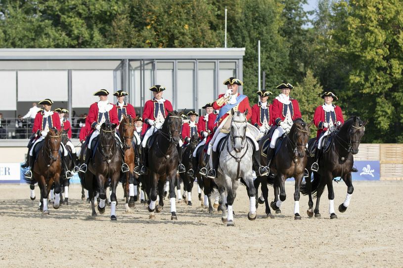 Bei der Dressurquadrille sind 25 Reithengste in Aktion zu sehen. Fotos: Anje Imke (SGV)