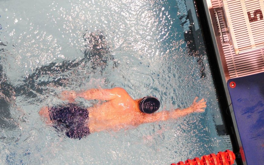 Schwimm-Marathon in Cottbus beendet - insgesamt gingen 1599 Schwimmer an den Start.