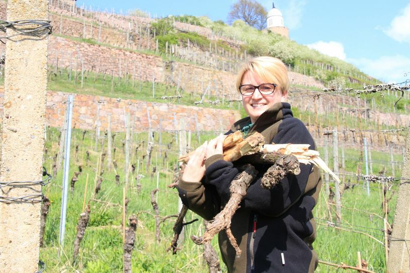 Jungwinzerin Aileen Hofmann mit "Material" zum Anfeuern. Foto: Schramm