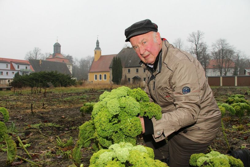 Holte Anfang Januar den Grünkohl vom Feld: Dipl.-Landwirt und Hobbymeteorologe Rudolf Kupfer aus Lindenau. Foto: sts