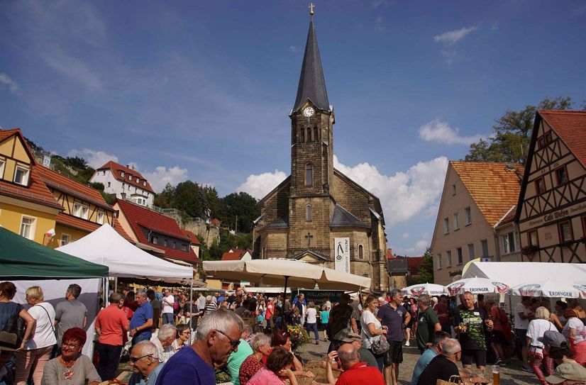 Schon seit 25 Jahren zieht der Naturmarkt Sächsische Schweiz viele Besucher auf den Marktplatz in Stadt Wehlen.