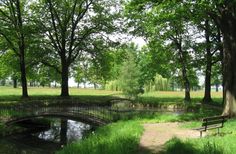 Sommer im Schlosspark Schmochtitz.