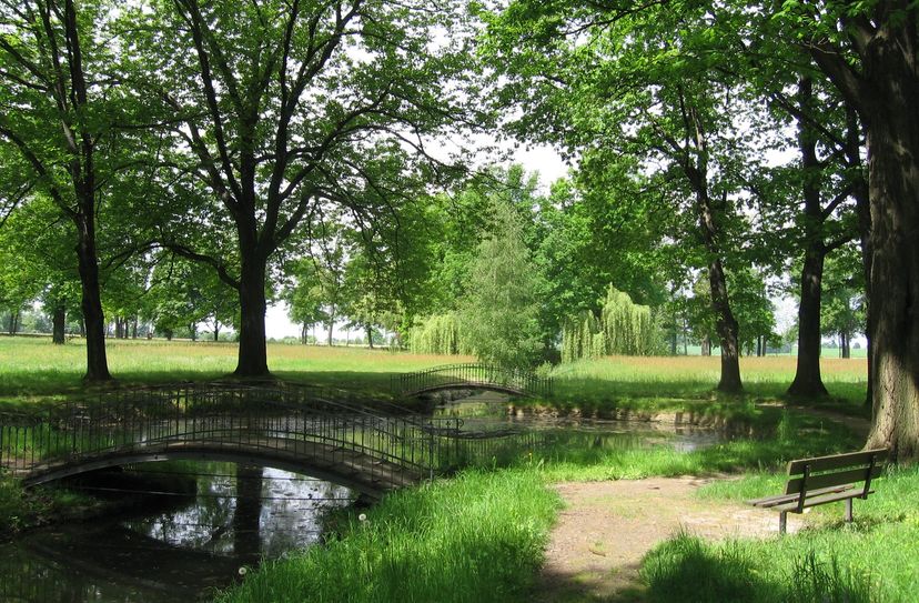 Sommer im Schlosspark Schmochtitz.