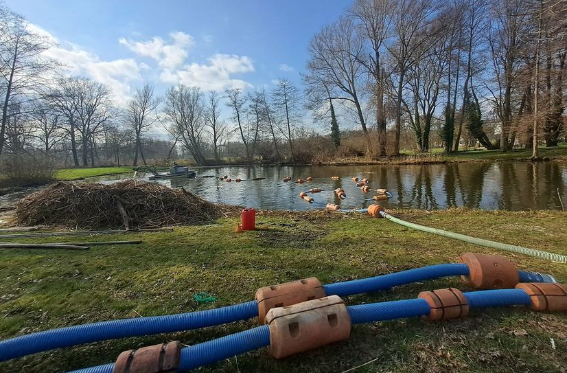 Ziel der Maßnahmen ist es unter anderen, Klimaoasen zu schaffen und Wasserressourcen zu schützen.