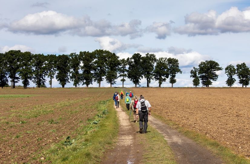 »Wandern in Schlesien« wird vom Kulturreferat für Schlesien am Schlesischen Museum zu Görlitz in Zusammenarbeit mit dem Reisebüro Senfkorn Reisen organisiert. Die erste Ausgabe gab’s 2019.