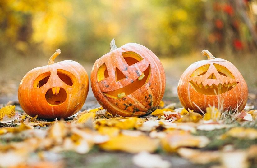 Das obligatorische Kürbisschnitzen gehört natürlich auch zum Halloween-Spaß dazu.