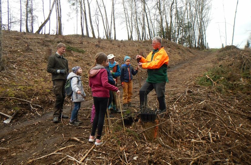 Frank Kowalzik von der Nationalparkwacht und Revierleiter Frank Wagner leiteten die Junior-Ranger bei der Pflanzung an.