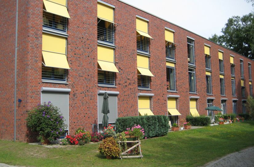 Bunte Sommerblumen sorgen im Garten für Farbtupfer und laden zum Draußensein ein.