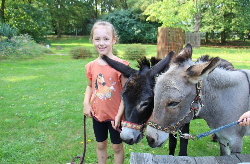 Durch einen Parcours führen, streicheln, füttern und etwas Pflege – all das gehört zum Eselführerschein, den die Kinder absolvierten.