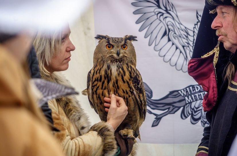 Von Gauklern bis Greifvögel wird für viel Unterhaltung gesorgt.