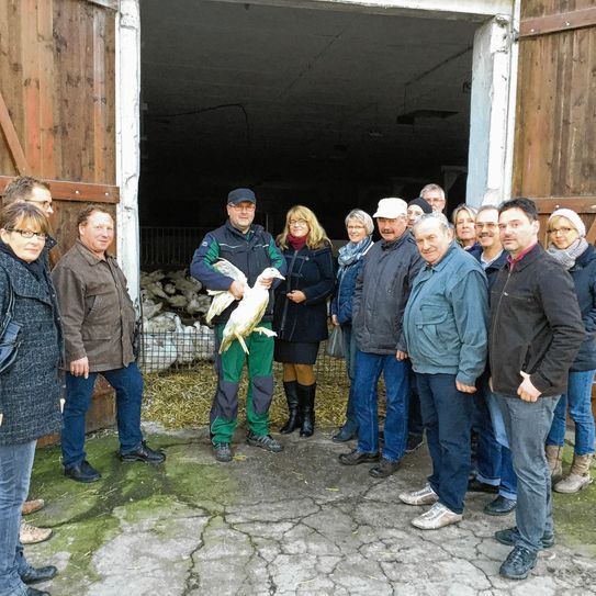 Zwischenstopp bei den Weihnachtsenten: Das „Lausitz schmeckt“-Team erkundete auf einem Rundgang das Hofgut Kaltenbach. Foto: pm