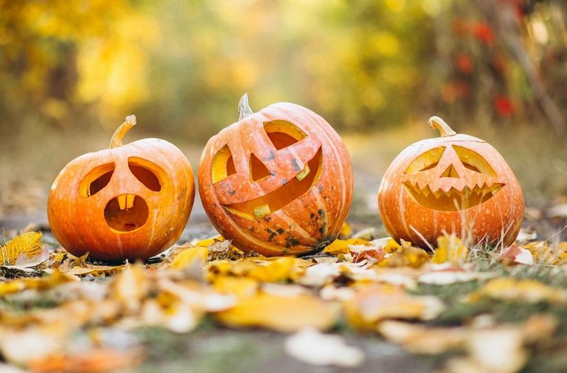 Elbe-Tierpark Hebelei lädt zum Halloween-Tier-Park-Fest ein.