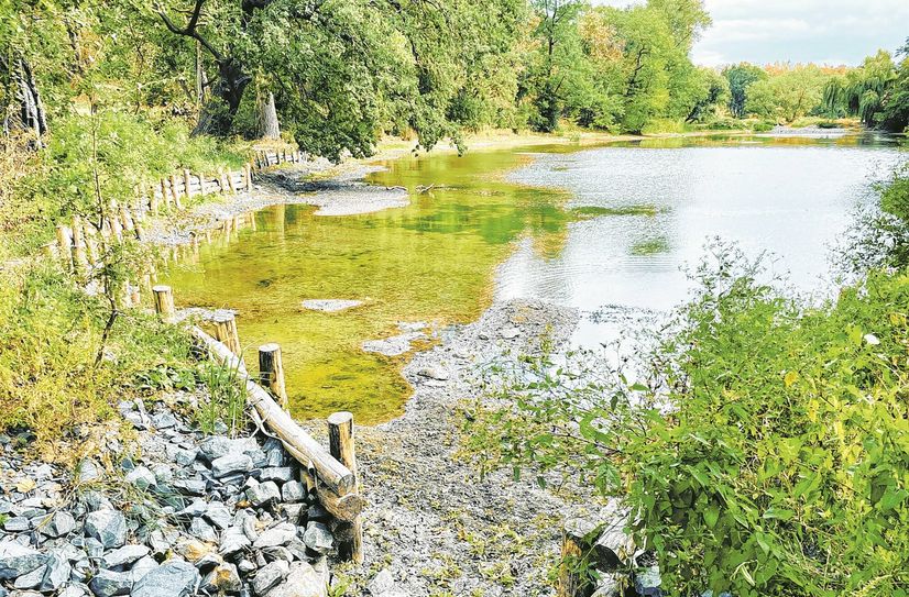 Nachher: Naherholung und Idylle  – nicht nur für die Fische.