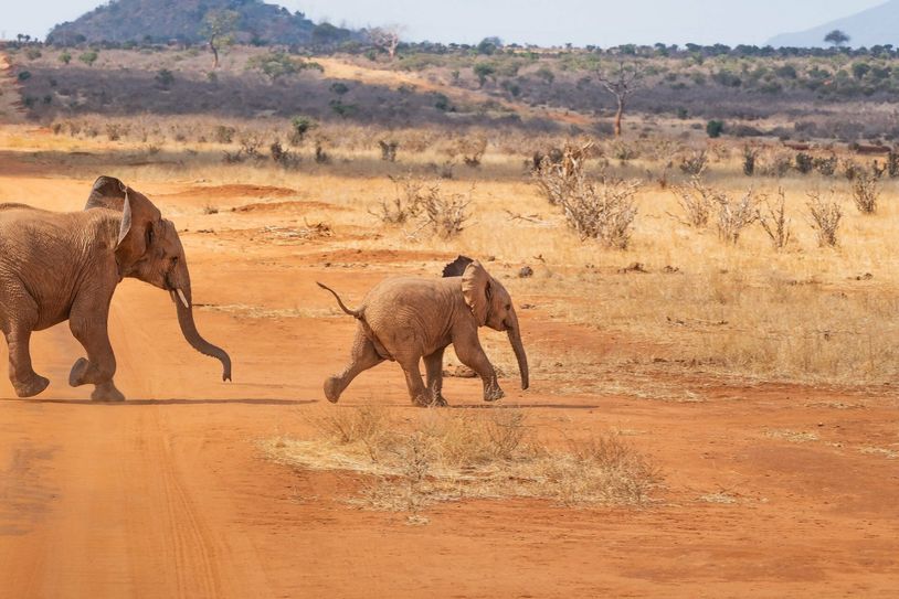 Von der beeindruckenden afrikanischen Natur berichtet Benno Bilk am 17. März in seinem Vortrag.
